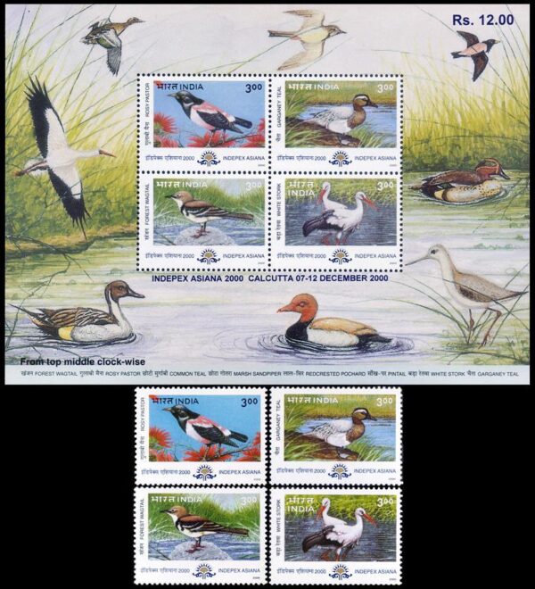 INDIA/SELLOS, 2000 - FAUNA - AVES MIGRATORIAS - YV 1528/31 + BF 9 - 4 VALORES + BLOQUE - NUEVO - MINT