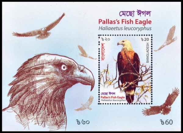 BANGLADESH/SELLOS, 2018 - AVES DE PRESA - AGUILA PESCADORA - YV BF 87 - BLOQUE - NUEVO - MINT