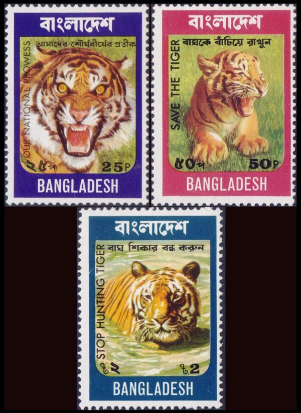 BANGLADESH/SELLOS, 1974 - VIDA SALVAJE - TIGRE REAL DE BENGALA - YV 56/58 - 3 VALORES - NUEVO - MINT