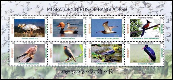 BANGLADESH/SELLOS, 2013 - AVES MIGRATORIAS - YV 979/86 - HOJITA - NUEVO - MINT