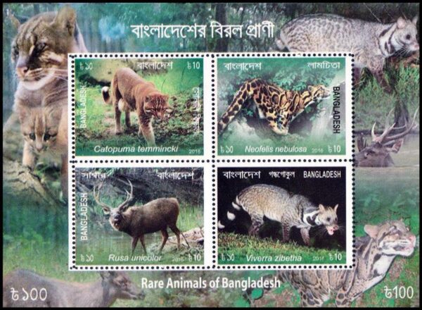 BANGLADESH/SELLOS, 2016 - FAUNA - ANIMALES RATROS DE BANGLADESH - YV BF 56 - BLOQUE - NUEVO - MINT