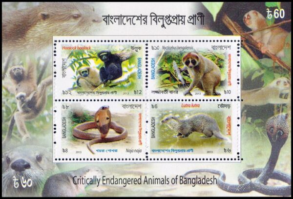 BANGLADESH/SELLOS, 2013 - ANIMALES EN PELIGRO - YV BF 48 - BLOQUE- NUEVO - MINT