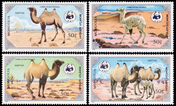 MONGOLIA/SELLOS, 1985 - W.W.F. - PROTECCION DE LA NATURALEZA - CAMELLOS BACTRIANOS - YV 1361/64 - 4 VALORES - NUEVO - MINT