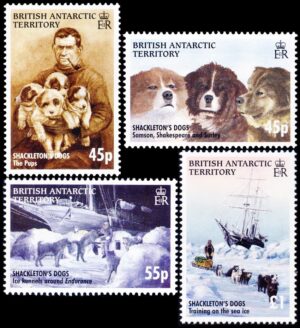 ANTARTIDA BRITANICA (BAT) SELLOS, 2005 - PERROS DE TRINEO DE ERNEST SHACKLETON  - YV 403/06 - 4 VALORES - NUEVO - MINT