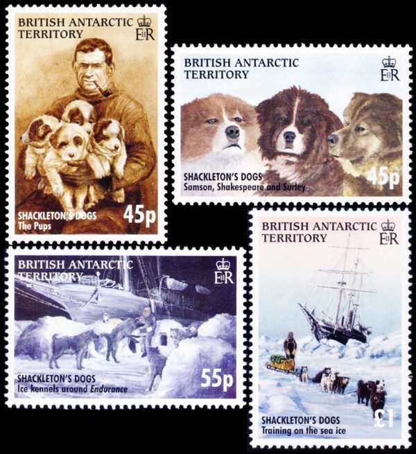 ANTARTIDA BRITANICA (BAT) SELLOS, 2005 - PERROS DE TRINEO DE ERNEST SHACKLETON  - YV 403/06 - 4 VALORES - NUEVO - MINT
