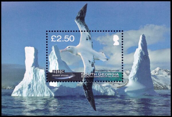 SOUTH GEORGIAS/STAMPS, 2011 - FROZEN PLANET - WILDLIFE - ALBATROSS - YV BF 20 - SOUVENIR SHEET - MNH