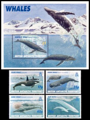 BRITISH ANTARCTICA (BAT) STAMPS, 1996 - MARINE FAUNA - CETACEANS - YV 273/76 + BF 3 - 4 VALUES + SOUV SHHET - MNH