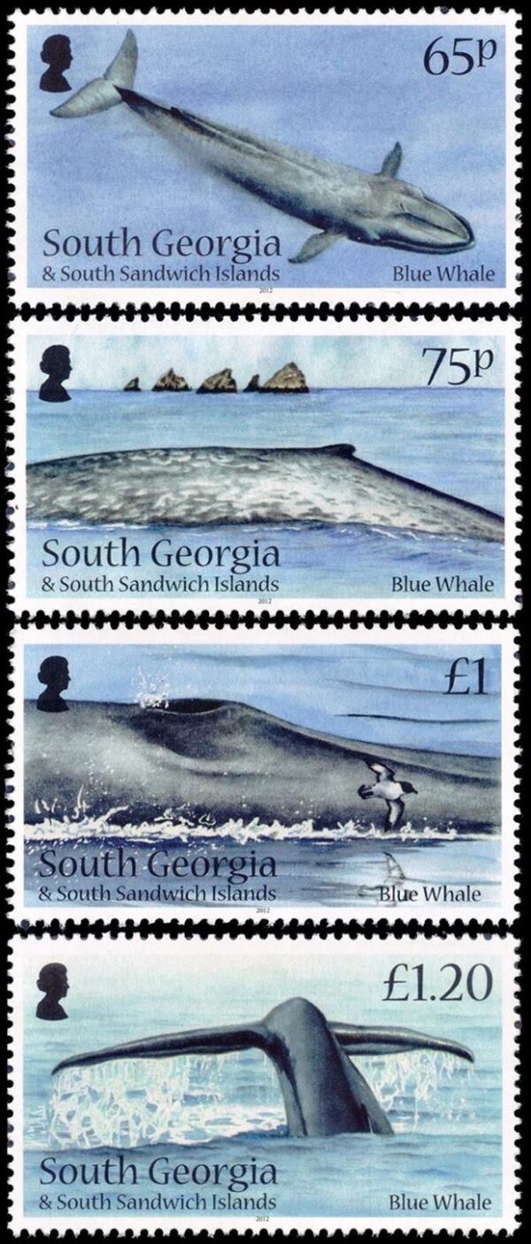 GEORGIAS DEL SUR/SELLOS, 2012 - FAUNA MARINA - BALLENA AZUL - YV 554/57 - 4 VALORES - NUEVO - MINT