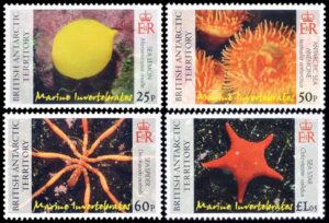 BRITISH ANTARCTICA (BAT) STAMPS, 2007 - MARINE FAUNA - INVERTEBRATES - YV 447/50 - 4 VALUES - MNH