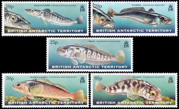BRITISH ANTARCTICA (BAT) STAMPS, 1999 - FAUNA - FISHES - YV 302/06 - 5 VALUES - MNH