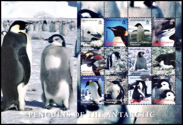 BRITISH ANTARCTIC (BAT) STAMPS, 2006 - ANTARCTIC BIRDS – PENGUINS – YV 419/30 – SHEET – MINT