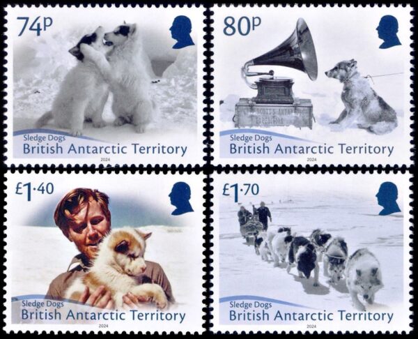 ANTARTIDA BRITANICA (BAT) SELLOS, 2024 - PERROS - 4 VALORES - NUEVO - MINT