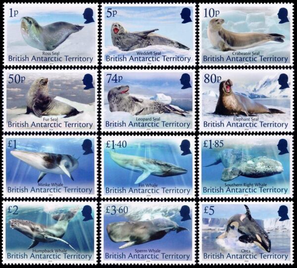 ANTARTIDA RITANICA (BAT) SELLOS, 2024 - SELLOS ORDINARIOS - FOCAS Y BALLENAS - YV 837/48 - 12 VALORES - NUEVO - MINT