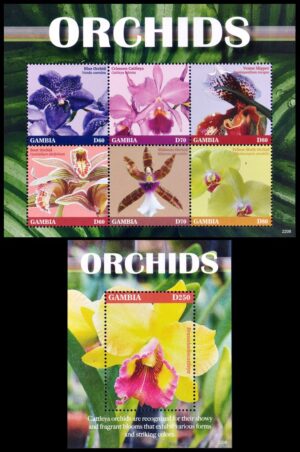 GAMBIA/SELLOS, 2022 - FLORES - ORQUIDEAS - YV 6311/16 + BF 973 - HOJITA + BLOQUE - NUEVO - MINT