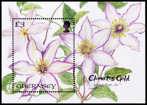 GUERNSEY/STAMPS, 2022 - FLOWERS - YV F 1902 - SOUVENIR SHEET - MNH