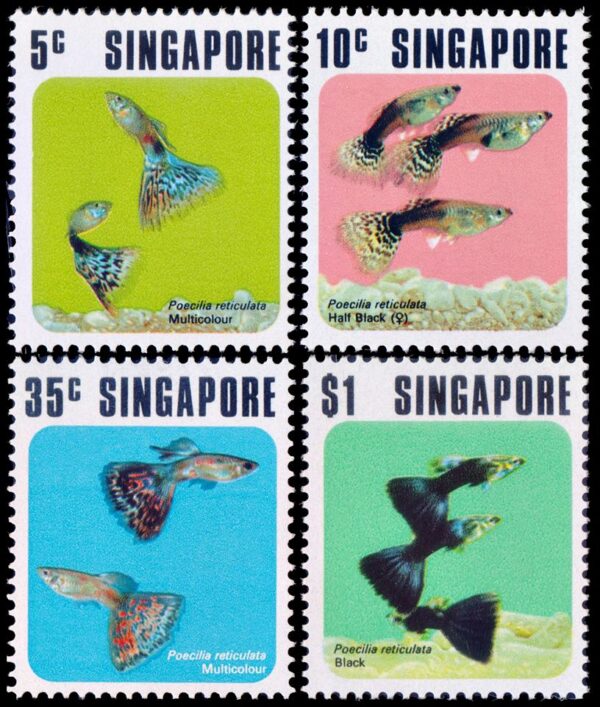 SINGAPUR/SELLOS, 1974 - PECES TROPICALES - YV 205/08 - 4 VALORES - NUEVO - MINT