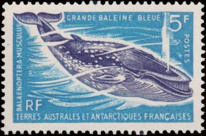 ANTARTIDA FRANCESA (T.A.A.F.) SELLOS, 1966 - CETACEOS - BALLENA - YV 22 - 1 VALOR - NUEVO - MINT