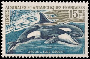 ANTARTIDA FRANCESA (T.A.A.F.) SELLOS, 1966 - CETACEOS - ORCA - ISLAS CROZET - YV 30 - 1 VALOR - NUEVO - MINT