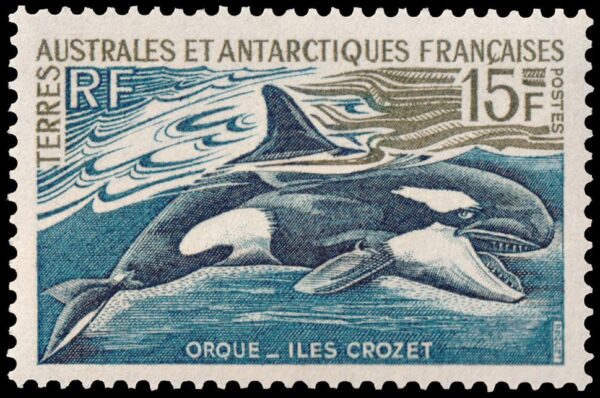 ANTARTIDA FRANCESA (T.A.A.F.) SELLOS, 1966 - CETACEOS - ORCA - ISLAS CROZET - YV 30 - 1 VALOR - NUEVO - MINT