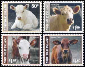 NORFOLK/SELLOS, 2008 - ANIMALES DOMESTICOS - RAZAS BOVINAS - YV 955/58 - 4 VALORES - NUEVO - MINT