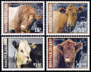 NORFOLK/SELLOS, 2009 - ANIMALES DOMESTICOS - RAZAS BOVINAS - YV 987/90 - 4 VALORES - NUEVO - MINT