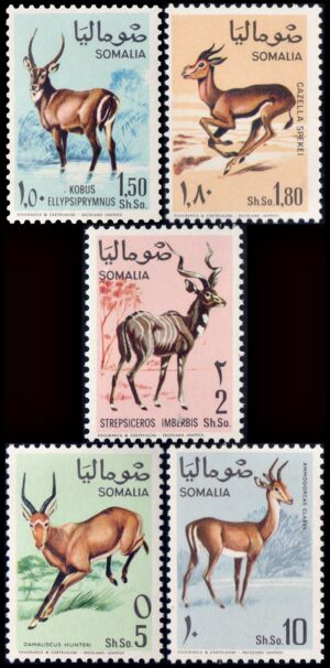 SOMALIA/SELLOS, 1968 - FAUNA - ANTILOPES - YV 91/5 - 5 VALORES - MINT