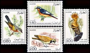 ALGERIA/STAMPS, 1977 - FAUNA - BIRDS - YV 667/70 - 4 VALUES - MNH