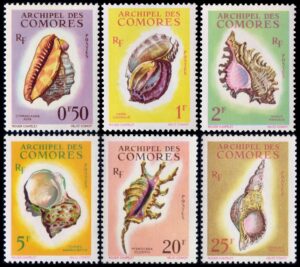 COMORES/SELLOS, 1962 - CARACOLES - YV 19/24 - 6 VALORES - MINT