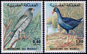 MOROCCO/STAMPS, 1976 – FAUNA – BIRDS – YV 777/78 – 2 VALUES – MNH