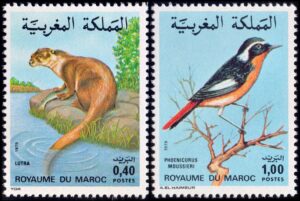 MOROCCO/STAMPS, 1979 – FAUNA – BIRDS – OTTER – YV 842/43 – 2 VALUES – MNH