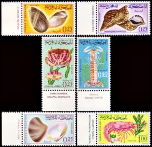 MARRUECOS/SELLOS, 1965 – CARACOLES Y CRUSTACEOS – FAUNA MARINA - YV 488/93 - 6 VALORES - MINT