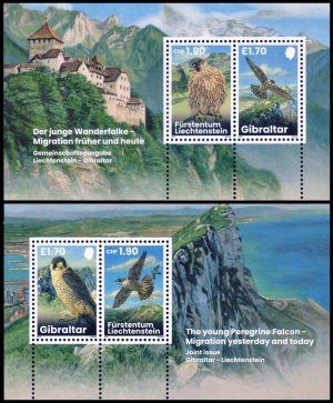 GIBRALTAR-LIECTENSTEIN/SELLOS, 2023 - AVES DE PRESA - EMISION CONJUNTA - 2 BLOQUES - MINT